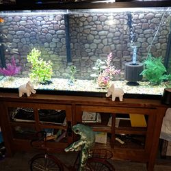 Great Fish Tank Fullter Pump Plus A Lot Of Extra Things 275 Zales