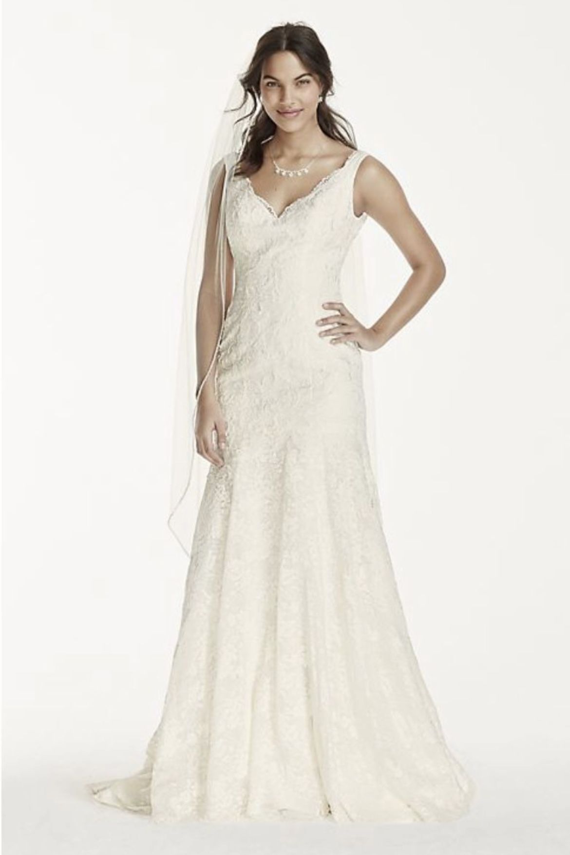 Beautiful David’s Bridal Wedding Dress