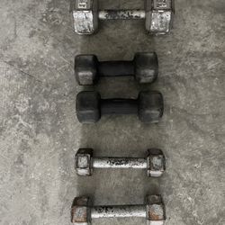 Dumbbell Home Gym Weights
