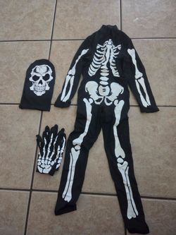 Skeleton