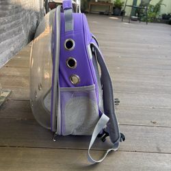 Cat Backpack 
