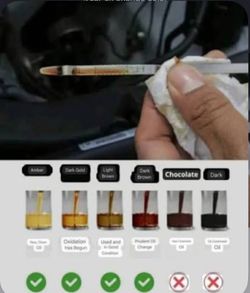 Oil changes 40$