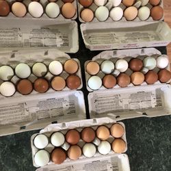 Farm Fresh Eggs Easter