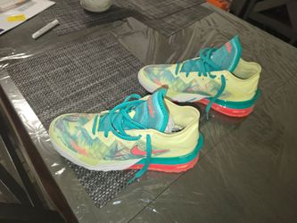 (Like New) Nike LeBron 18 Low Lebronald Palmer CV7564-300
