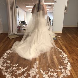 Wedding Dress and/or Veil 
