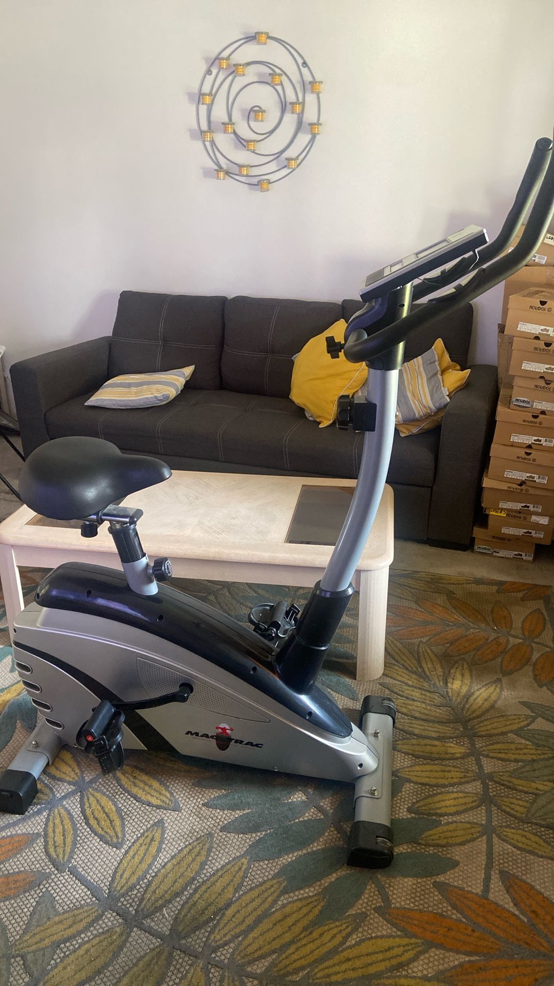 Bicycle Exercise Equipment