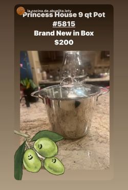 Princess House 9 qt Pot