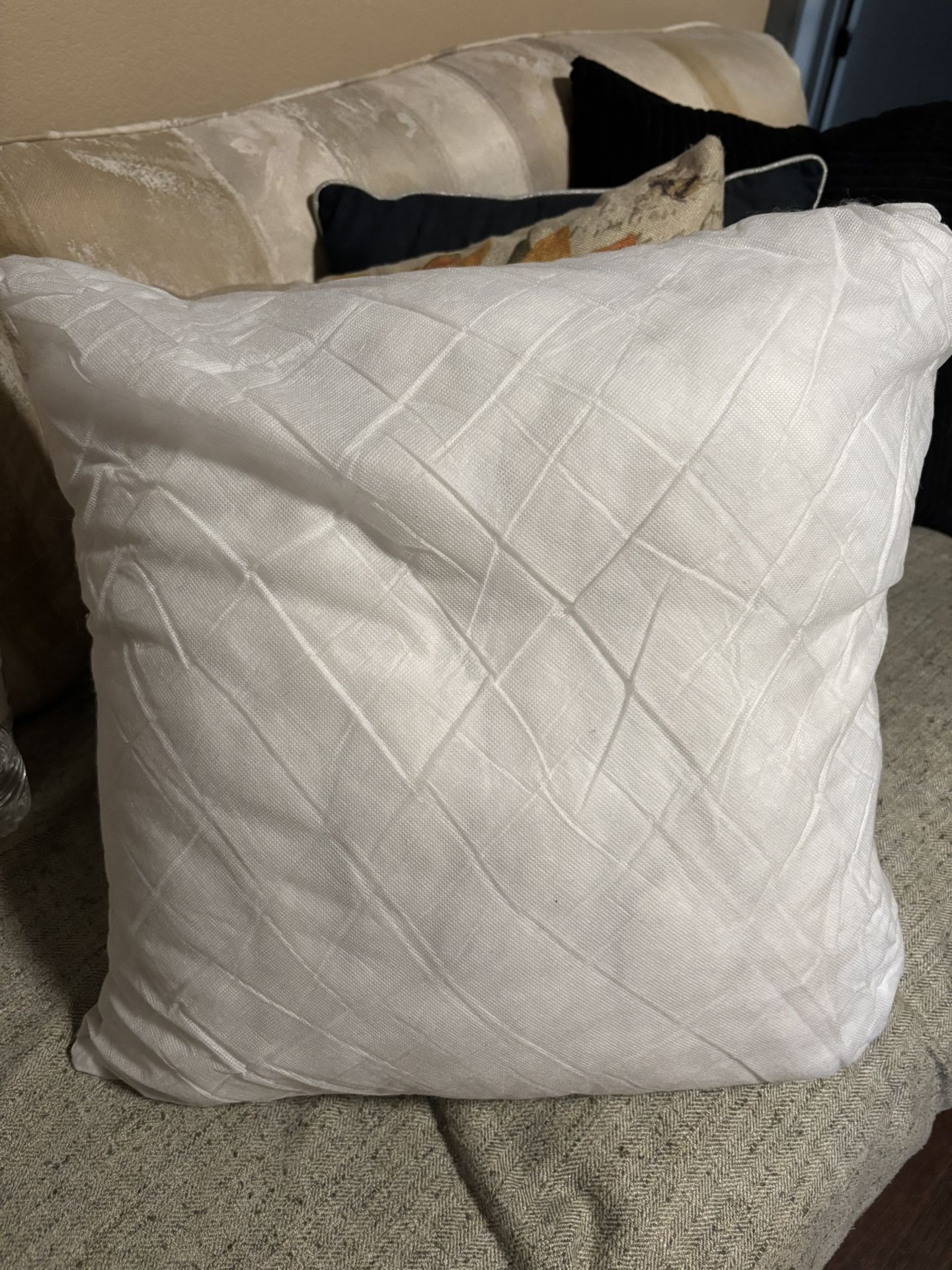 Two Free Couch Pillow Inserts