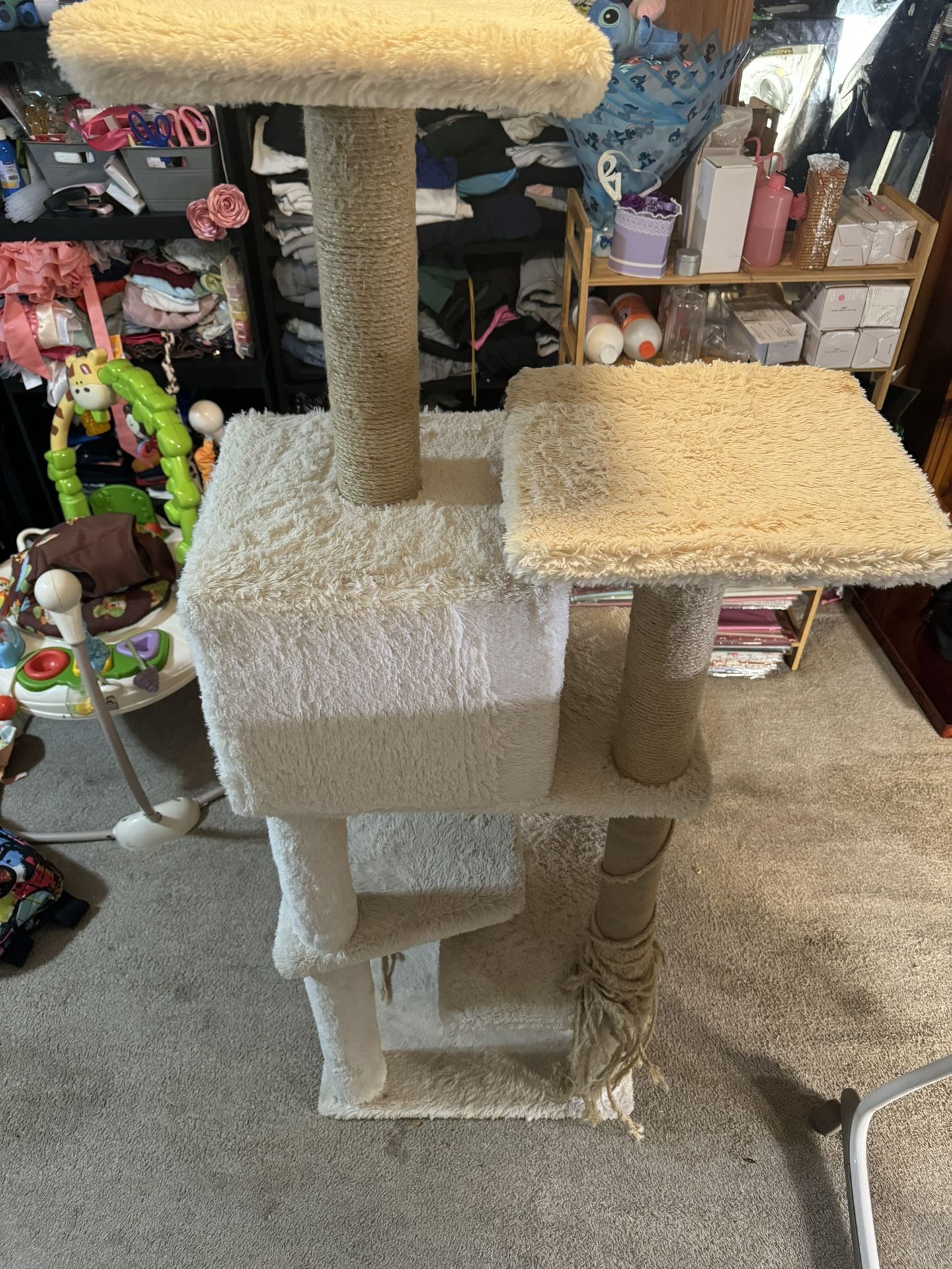 Cat Toy