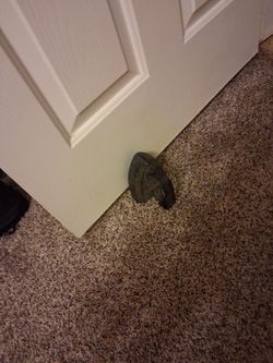 Cast iron door stop