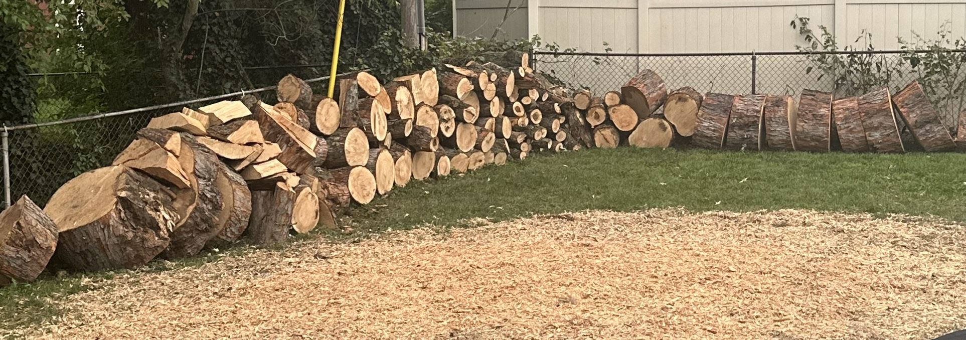 Firewood