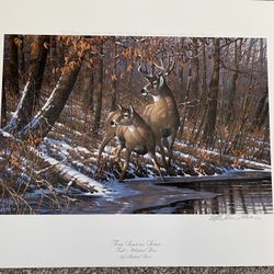 Unframed Artwork 