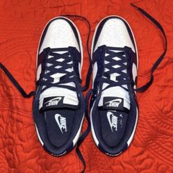 nike dunk low retro shoes