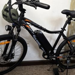 Electric Bike
