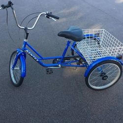 Adult Trike  Bike