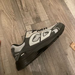 dior B30
