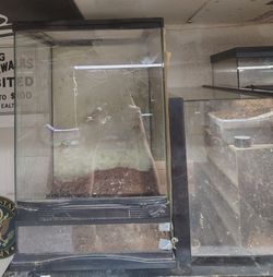 Reptile tanks