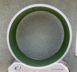 Cat Treadmill/Exercise Wheel