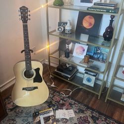 Ibanez Acoustic Guitar Bundle – Case + Accessories – Ready to Play