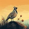 Desert Quail