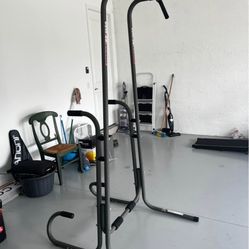 Stand Alone Pull up Bar 