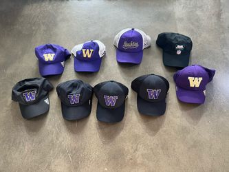 Washington Hats 