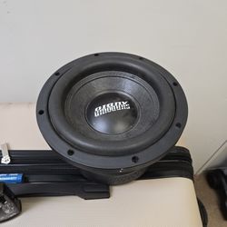 10" Subwoofer (Sundown) 