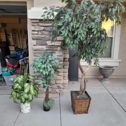Artificial Plant $5, 4ft Artificial Tree Or Palm Trees $12 Each,  7ft Artificial Tree $40 See All Photos 
