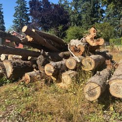 Cedar, Fir Logs