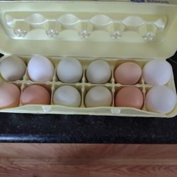Fresh Farm  Duck And Hen Eggs 