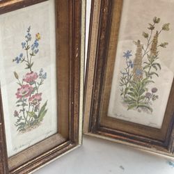 Antique 