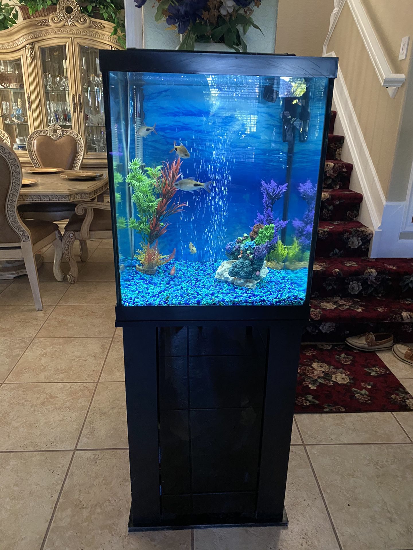 35 Gallon Fish Tank w/ 220 Marine Land canister filtration & Stand, light, fish and decorations