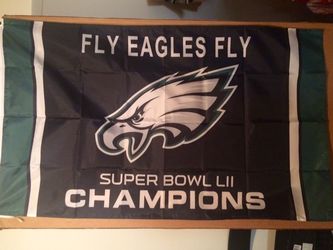 Philadelphia eagles Super bowl banner