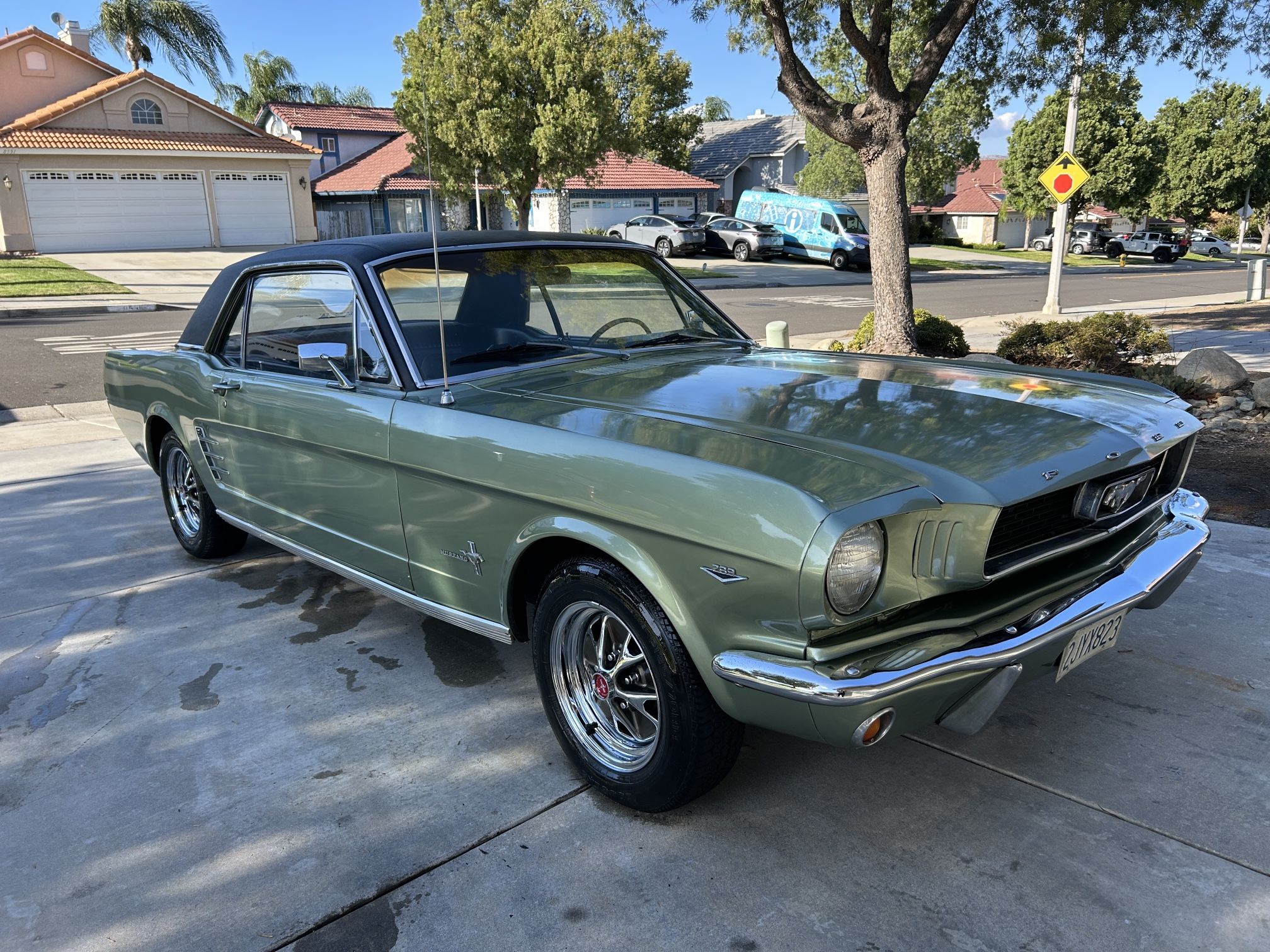 1966 Ford Mustang