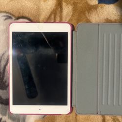 iPad Mini No Cracks No Locks 