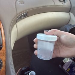 Fast & Easy $40 If You Are Pregnant