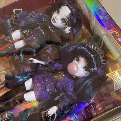 Rainbow high Dolls