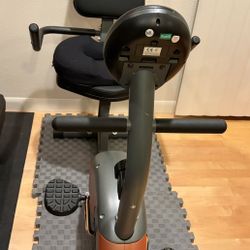 Recumbent Exercise Bike 