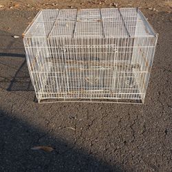Bird Cage/Animal Cage