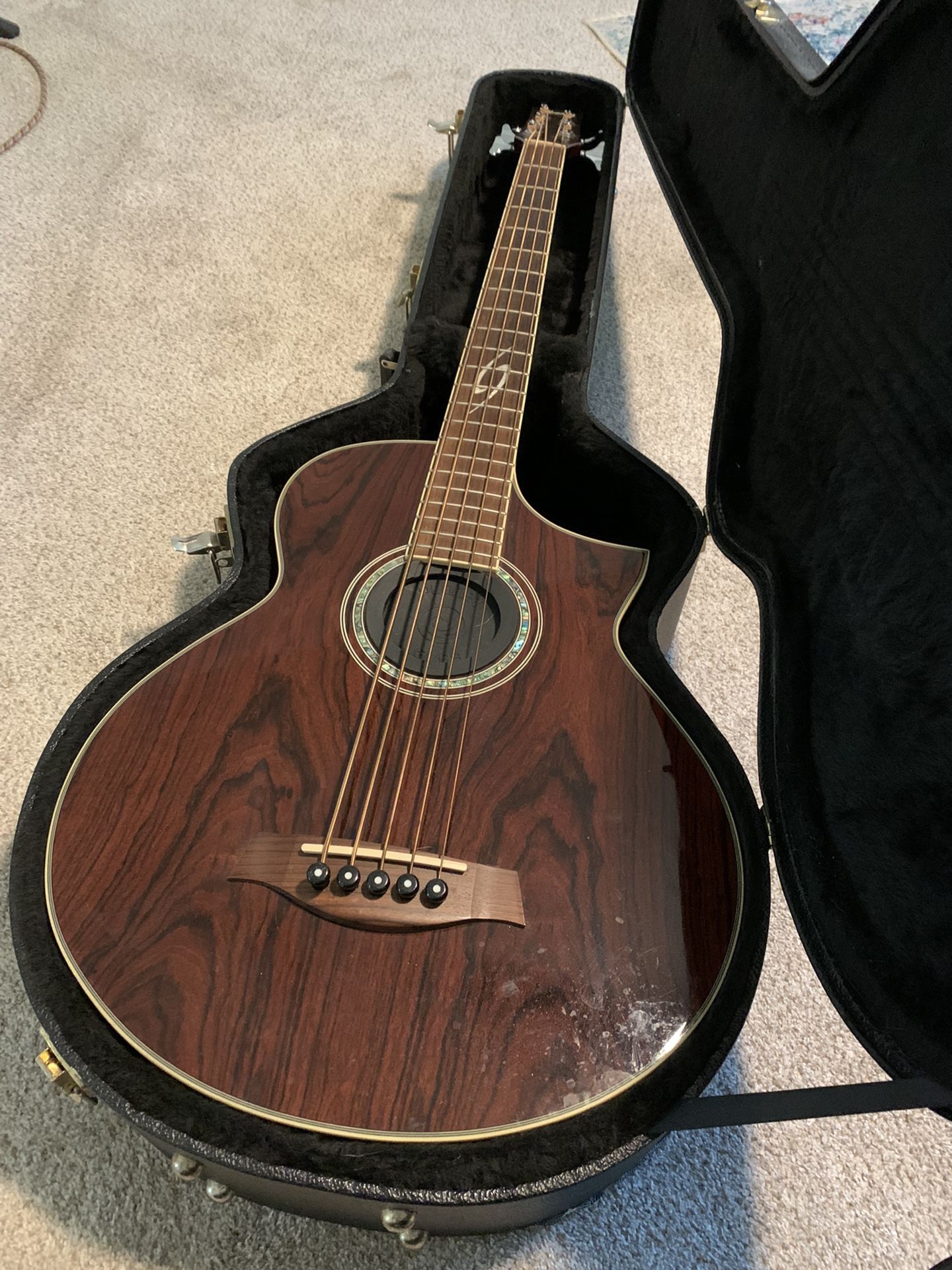 Ibanez 5 String Acoustic Bass Exotic Wood