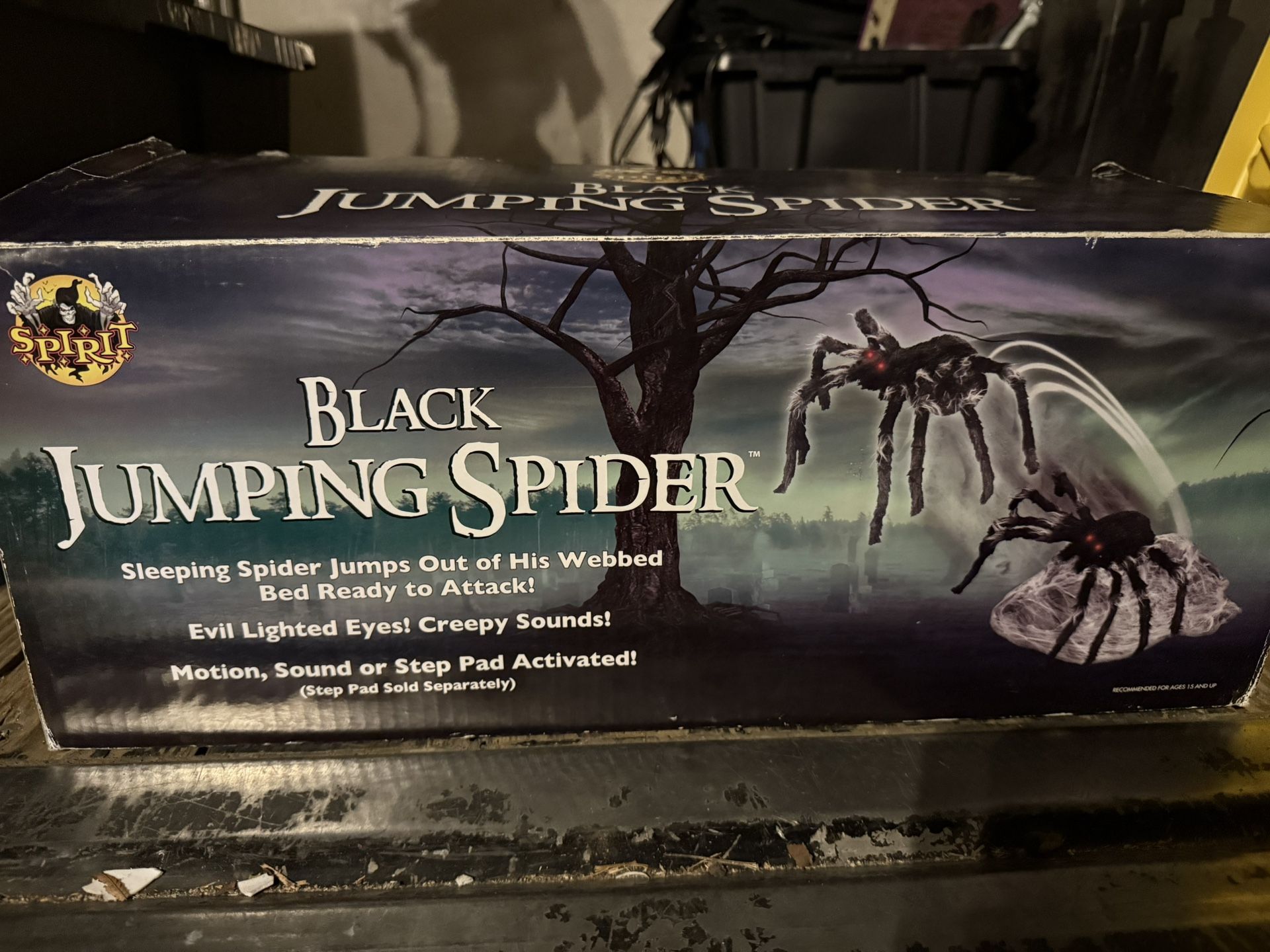 Halloween Jumping Spider