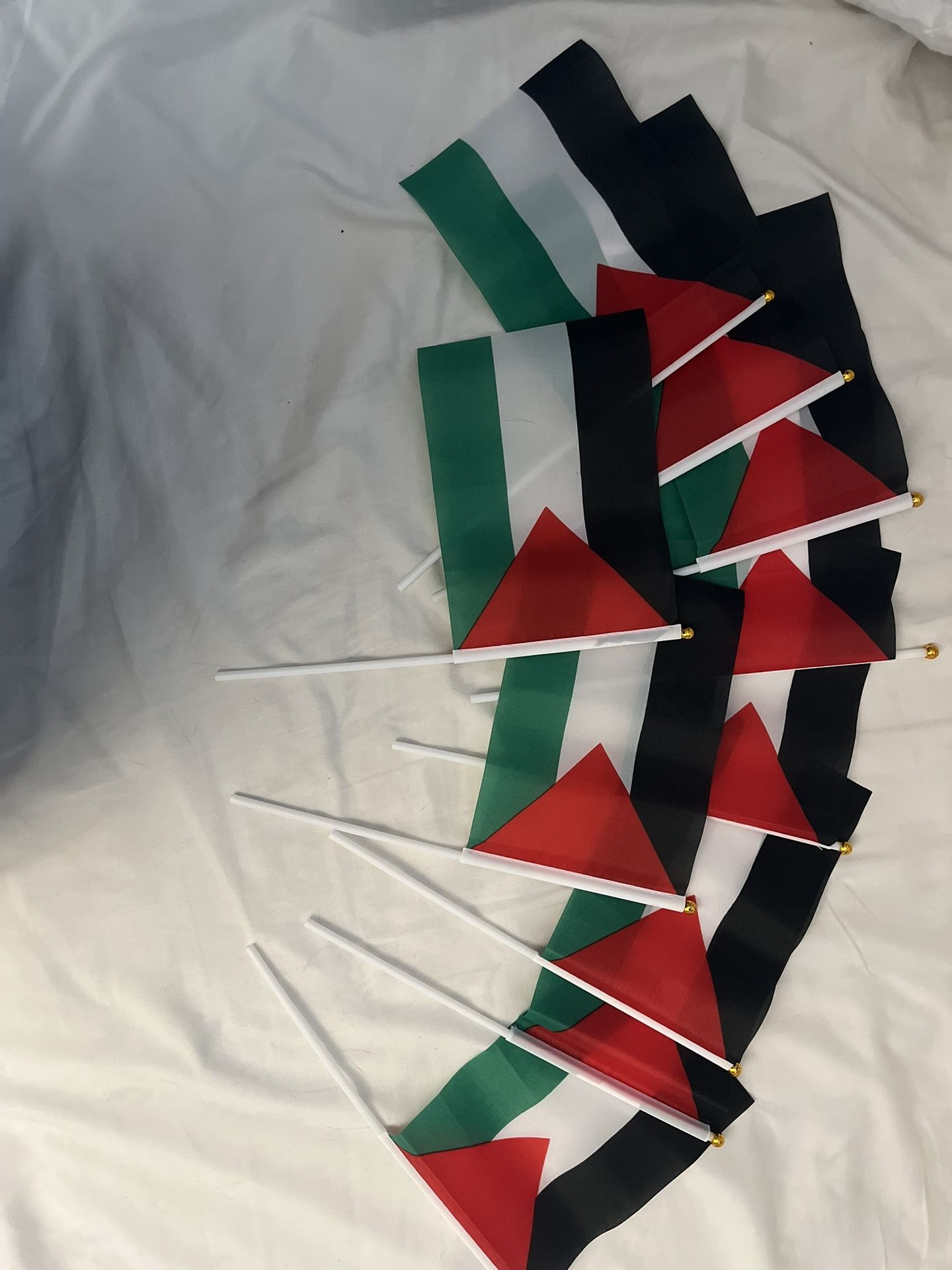 10 Peace, Hamas flags