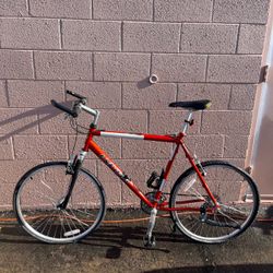Vintage Univega Bicycle
