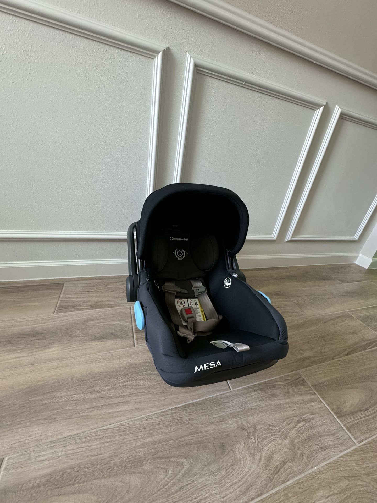UPPAbaby Mesa Car Seat
