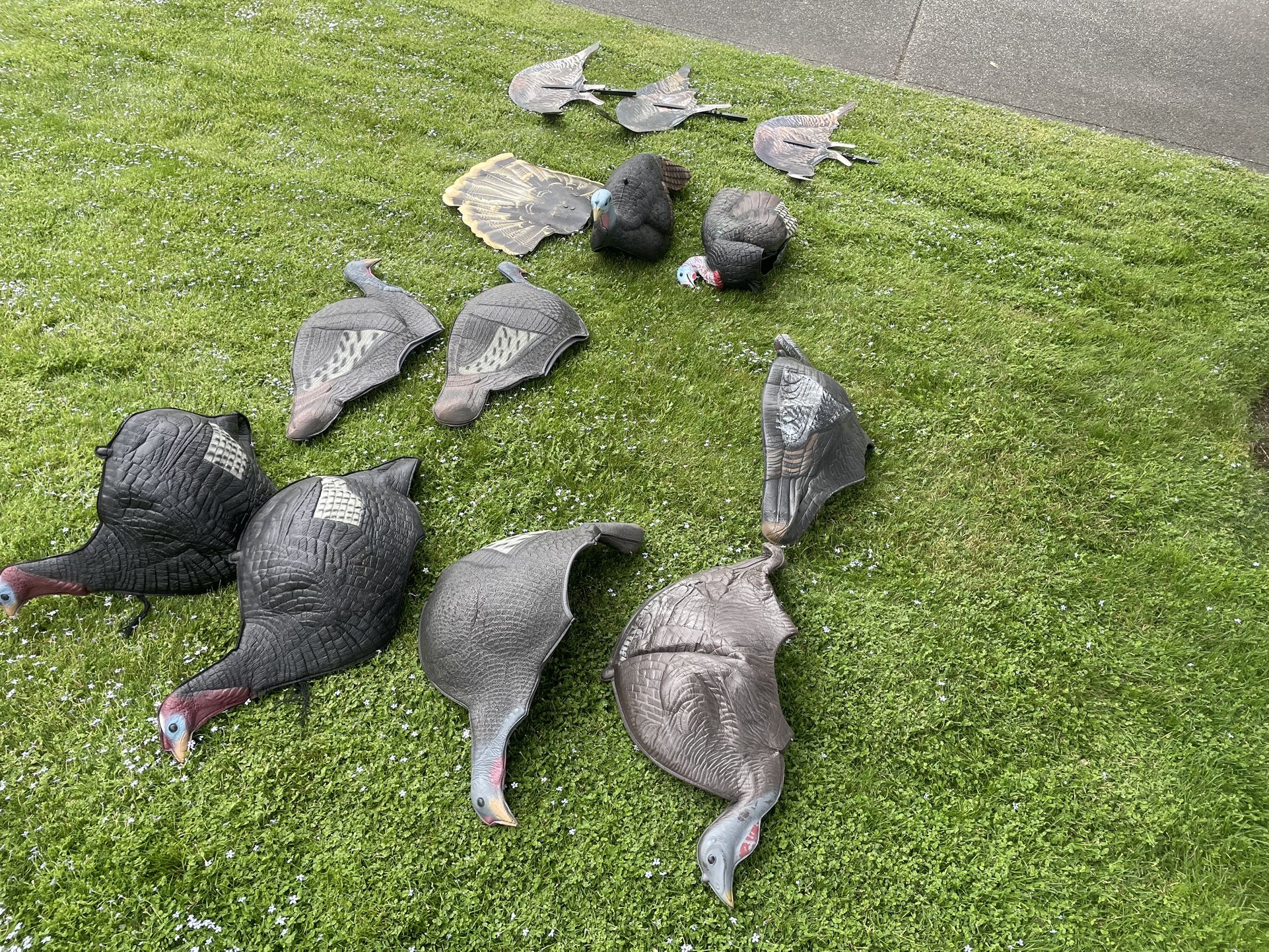 Turkey Hunting Decoys