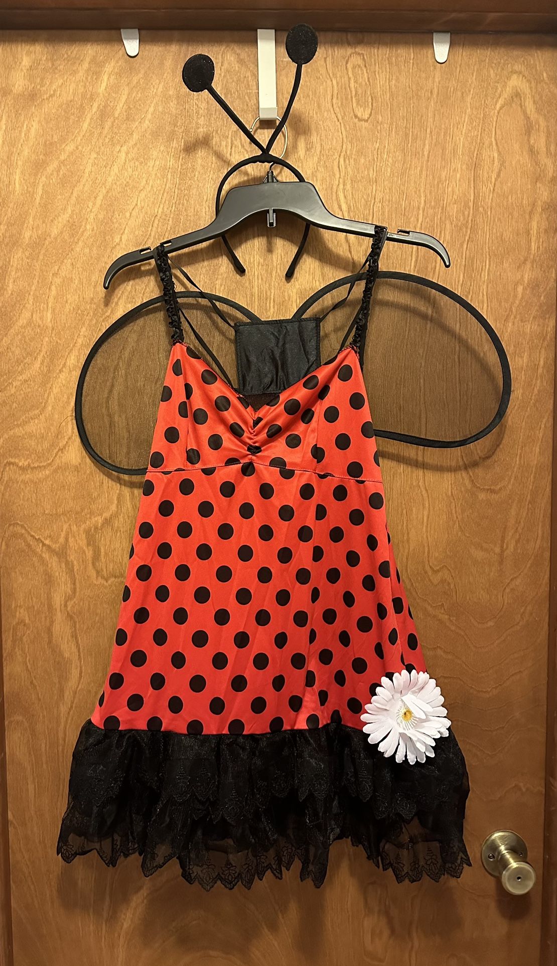 Ladybug Costume/wings & Antennae + Deluxe Wings