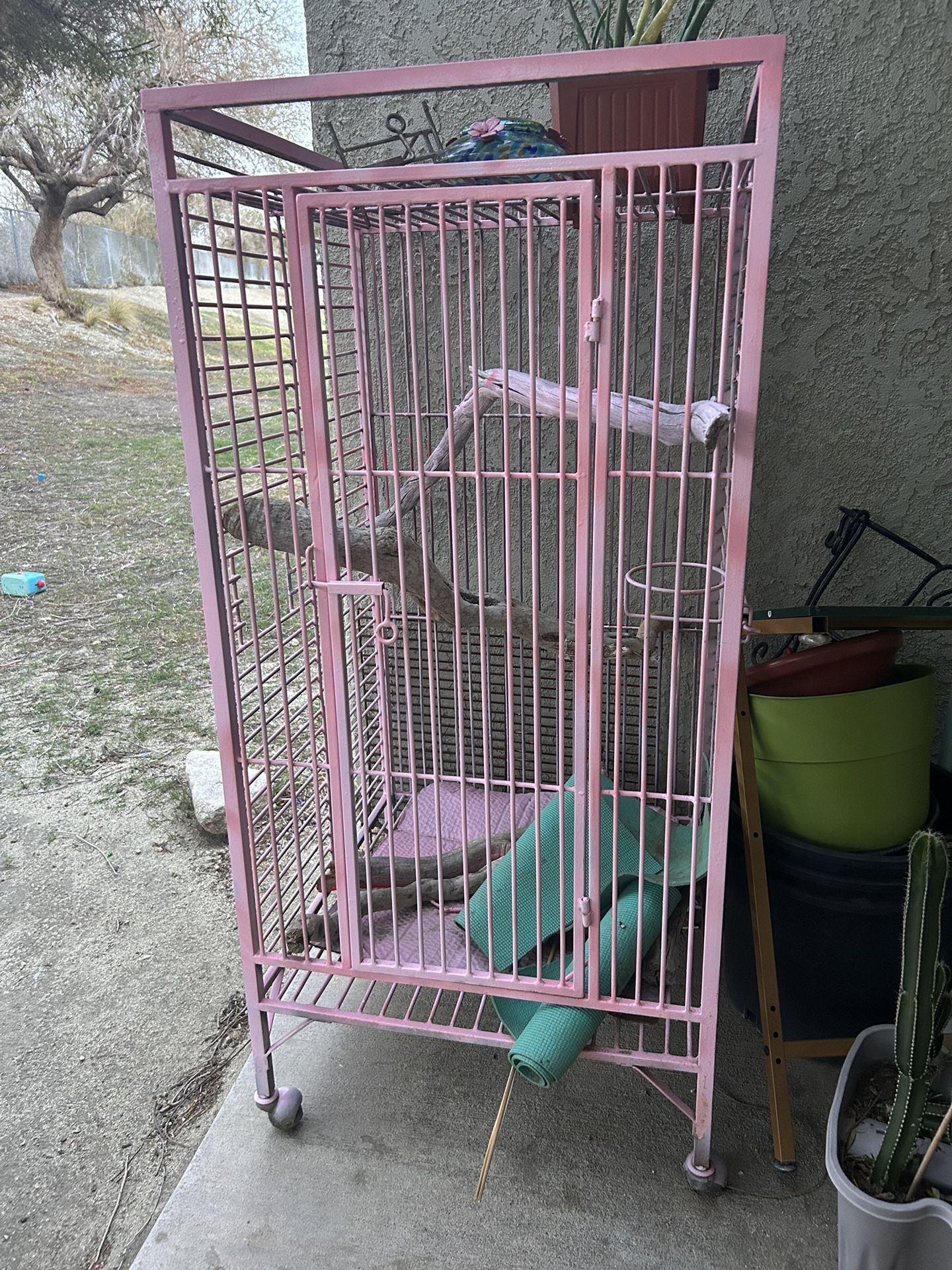 Bird Cage