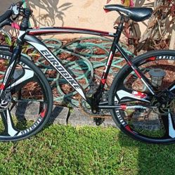 Euro Bike