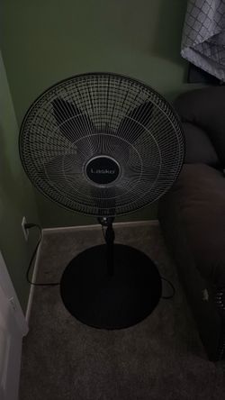 Fan