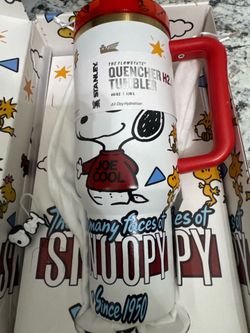 Snoopy Stanley